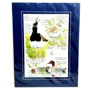 STEVE COLE ART PRINT SIGNED BIRDS AVIAN  ENGLAND MATTED BAGGED BOARDED 11x14 NEW